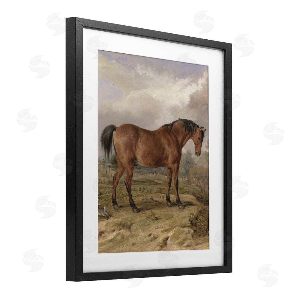 Corinne Haig Horse & Hare in Nature Black Framed Print Under Glass Art
