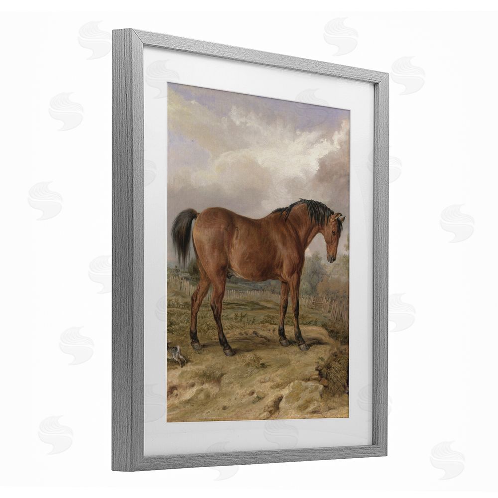 Corinne Haig Horse & Hare in Nature Gray Framed Print Under Glass Art