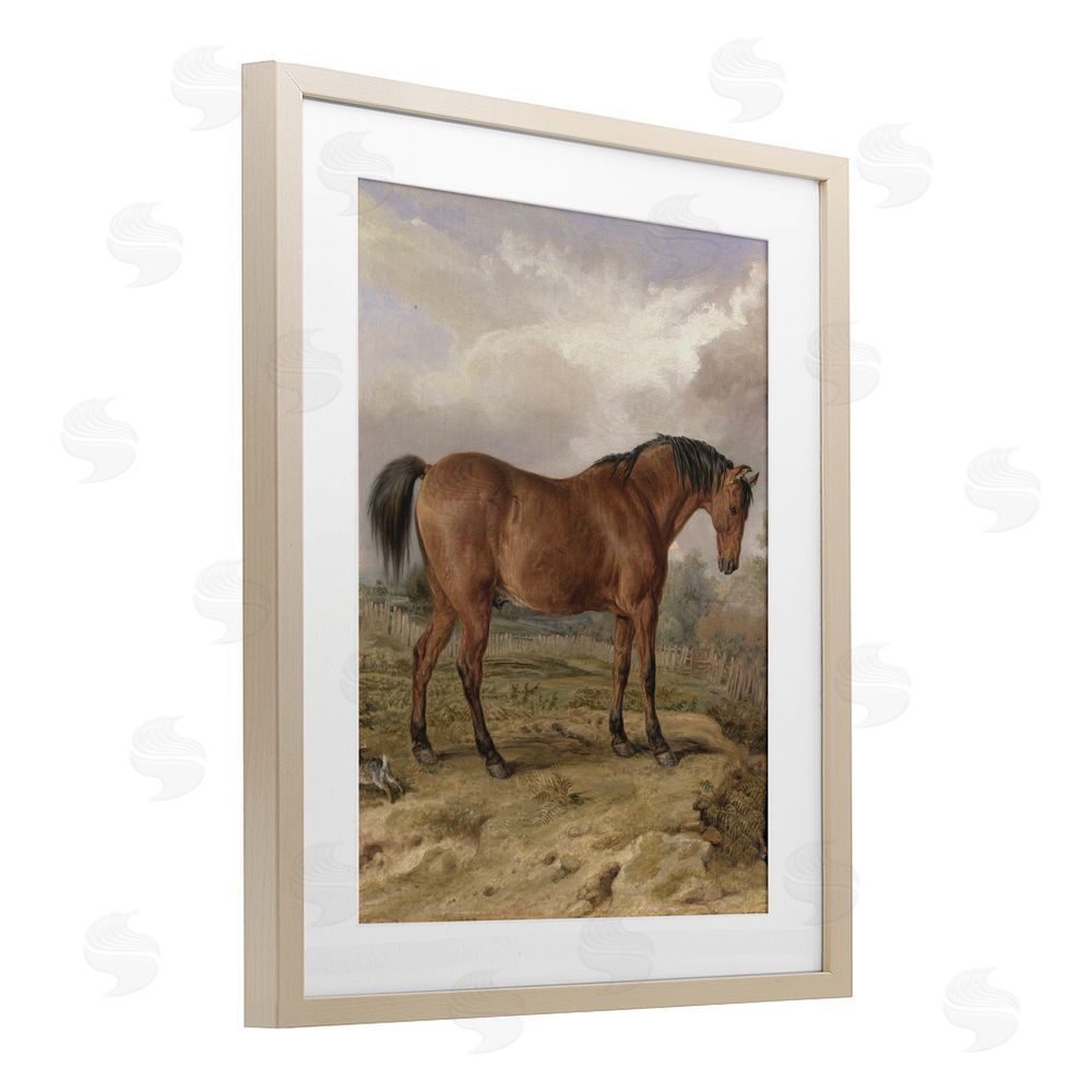 Corinne Haig Horse & Hare in Nature Birch Framed Print Under Glass Art