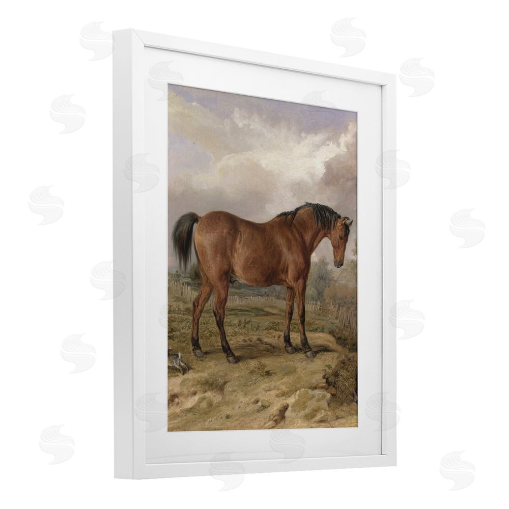 Corinne Haig Horse & Hare in Nature White Framed Print Under Glass Art