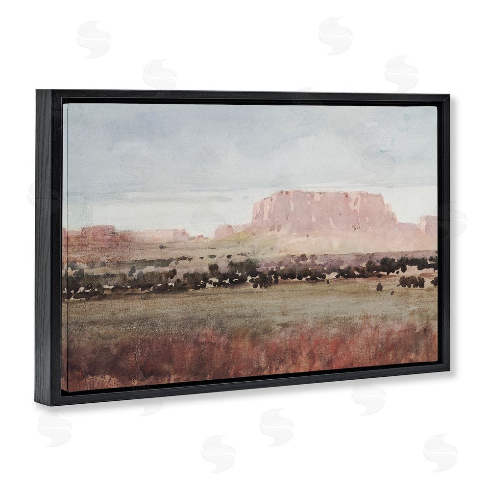 Corinne Haig Earthy Canyon Mesa Black Floating Frame Canvas Wall Art Print
