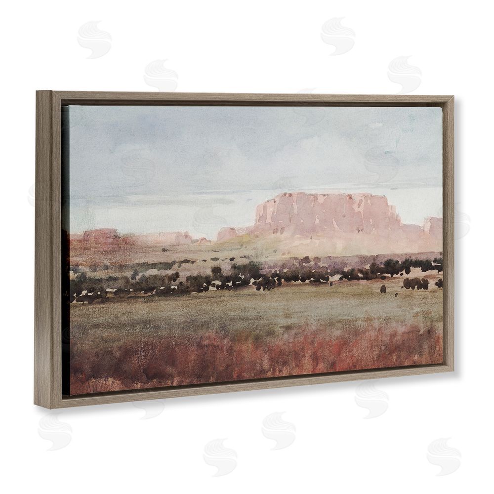 Corinne Haig Earthy Canyon Mesa Brown Floating Frame Canvas Wall Art Print