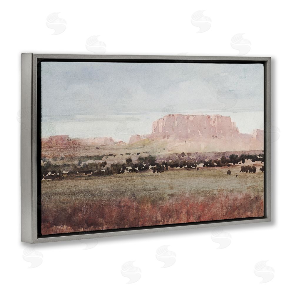 Corinne Haig Earthy Canyon Mesa Gray Floating Frame Canvas Wall Art Print