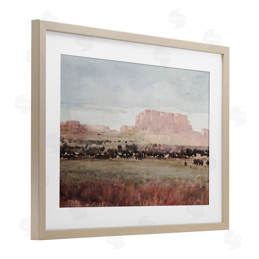 Corinne Haig Earthy Canyon Mesa Birch Framed Print Under Glass with White Mat Wall Art