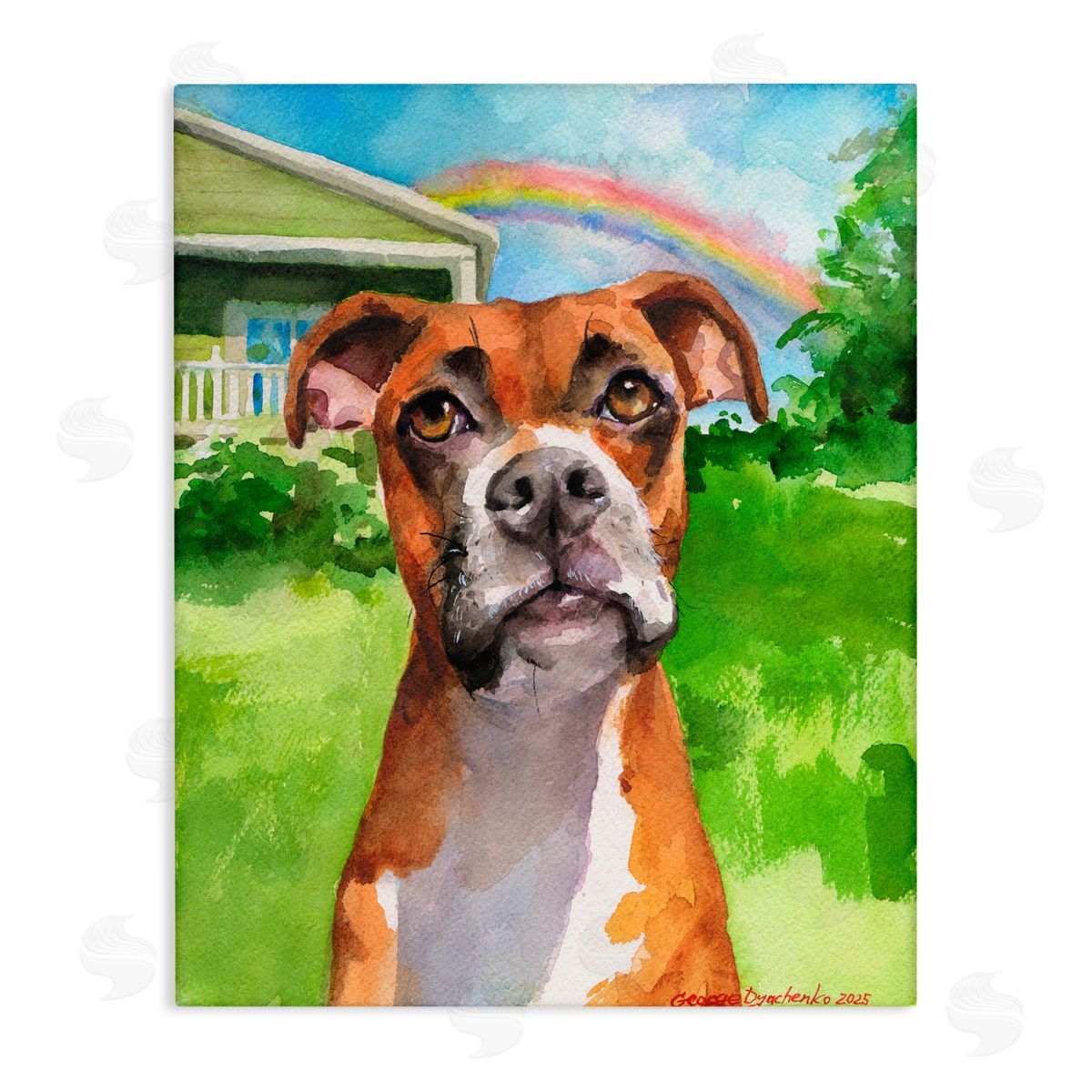 George Dyachenko Boxer and Rainbow Portrait Canvas Wall Art Print