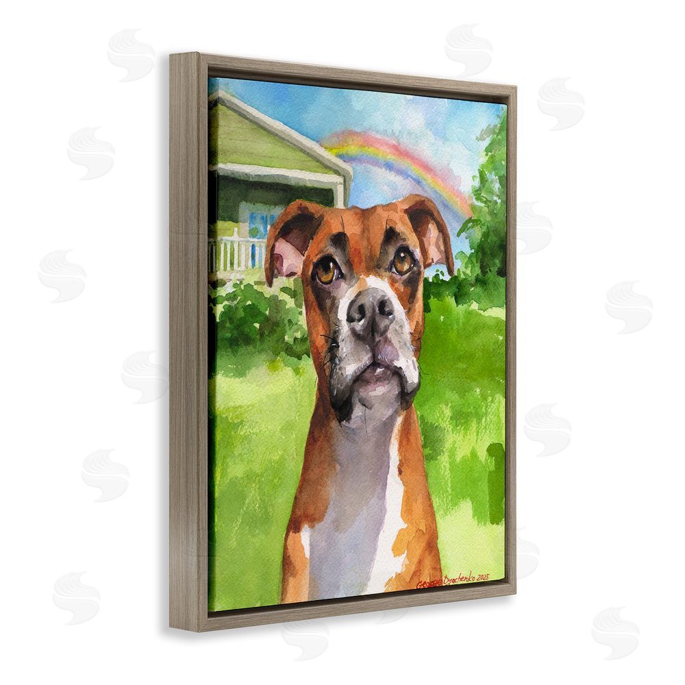 George Dyachenko Boxer and Rainbow Portrait Brown Floating Frame Canvas Wall Art Print