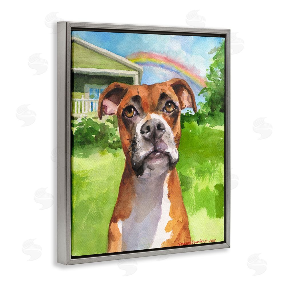 George Dyachenko Boxer and Rainbow Portrait Gray Floating Frame Canvas Wall Art Print