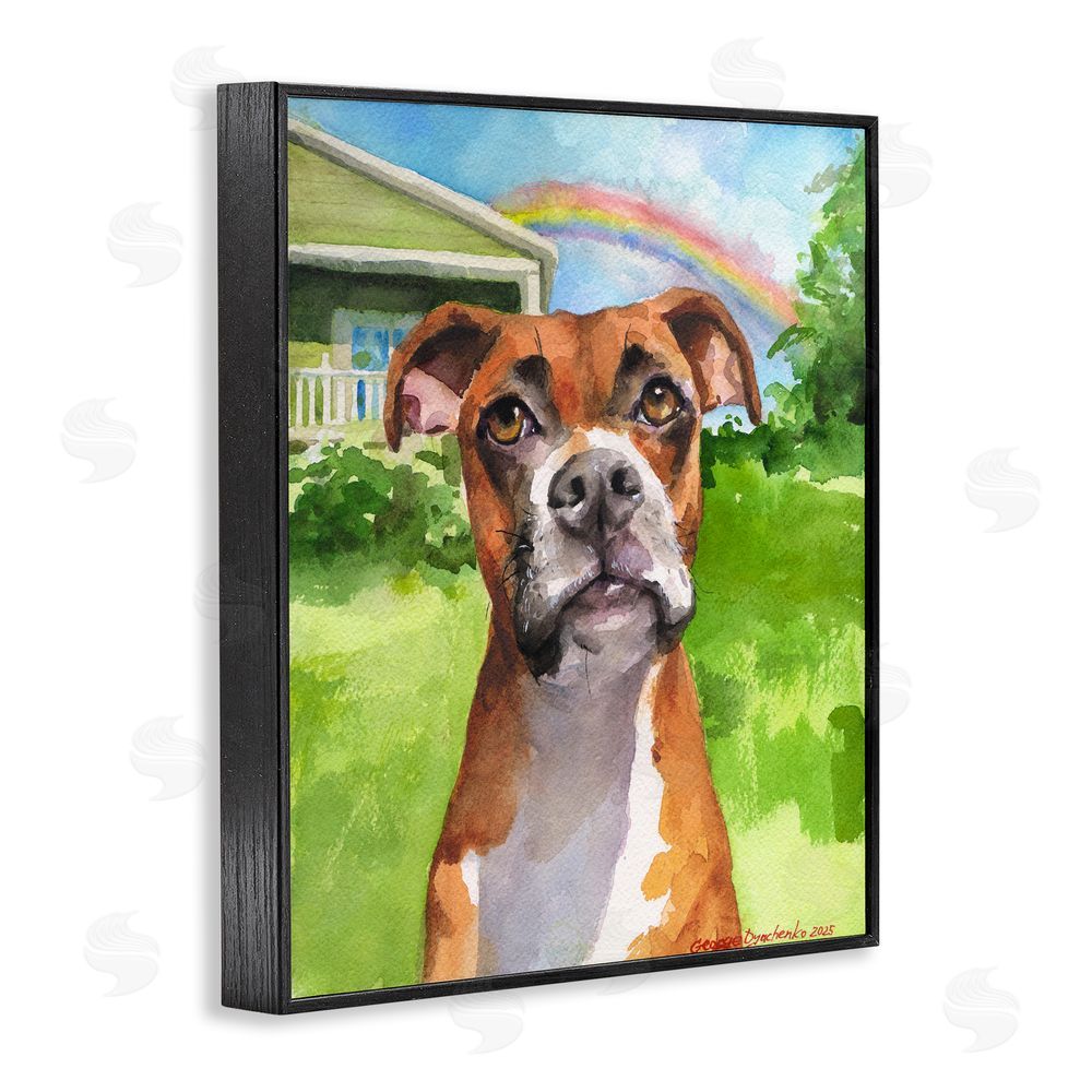 George Dyachenko Boxer and Rainbow Portrait Black Framed Giclee Wall Art Print