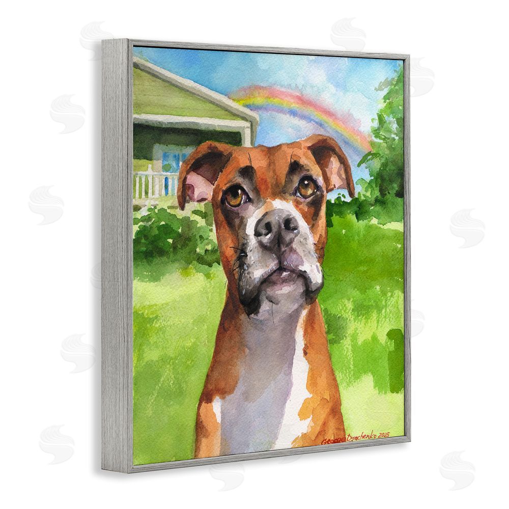 George Dyachenko Boxer and Rainbow Portrait Gray Framed Giclee Wall Art Print