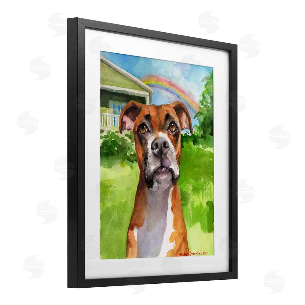 George Dyachenko Boxer and Rainbow Portrait Black Framed Print Under Glass with White Mat Wall Art