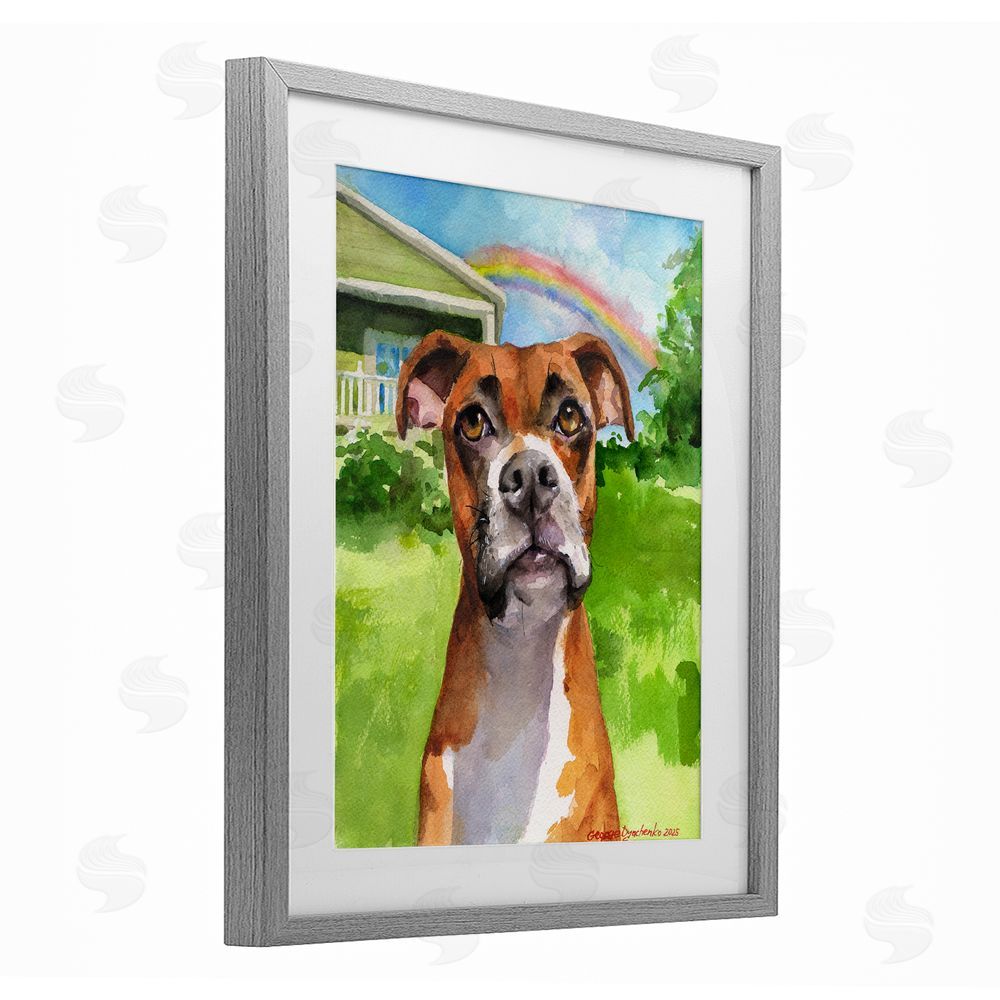 George Dyachenko Boxer and Rainbow Portrait Gray Framed Print Under Glass with White Mat Wall Art