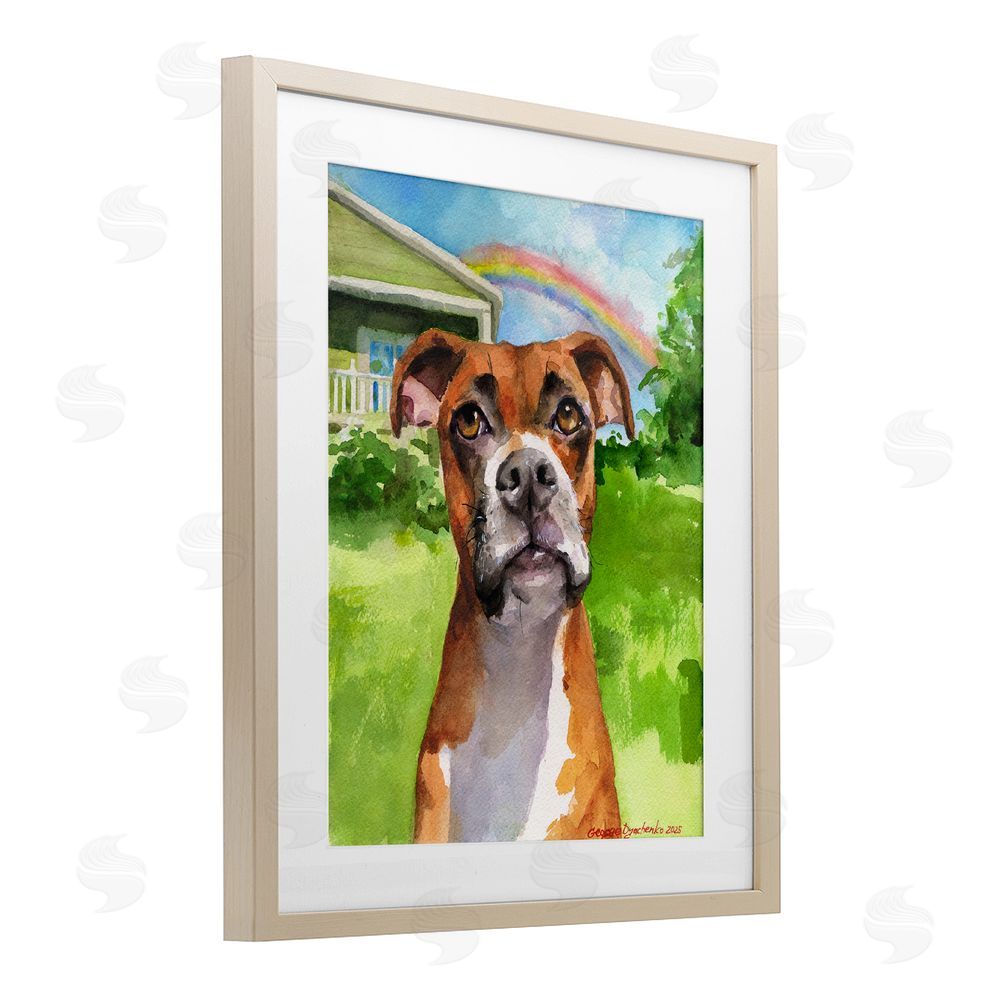 George Dyachenko Boxer and Rainbow Portrait Birch Framed Print Under Glass with White Mat Wall Art