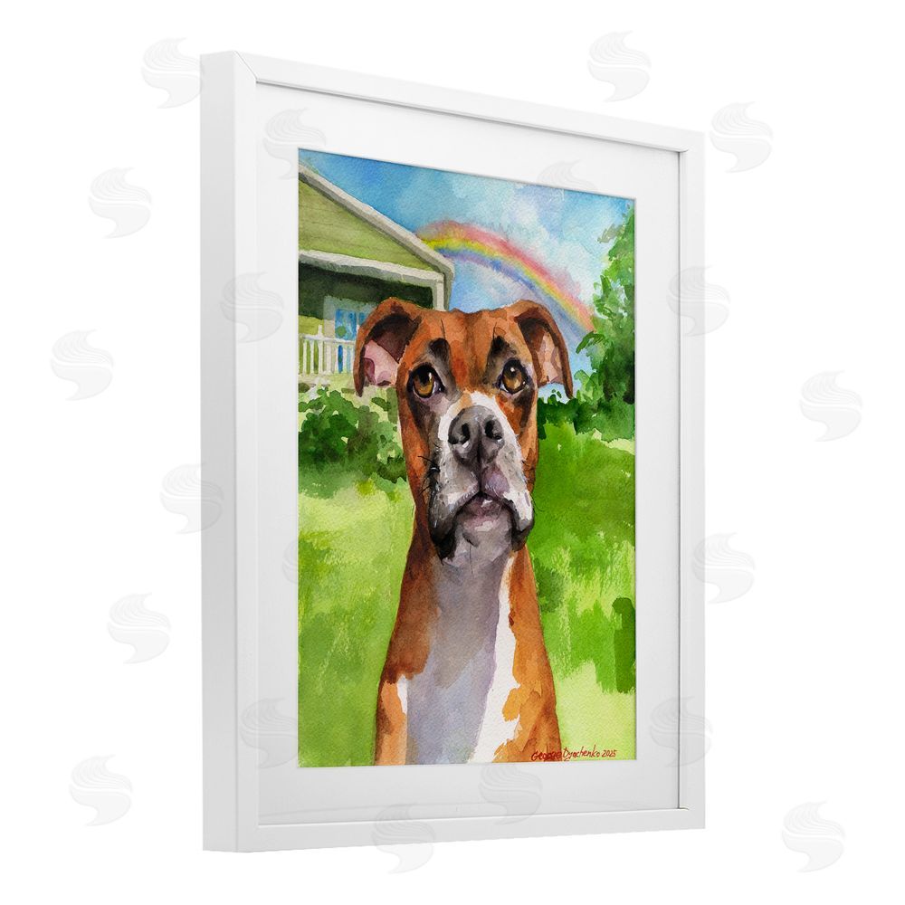 George Dyachenko Boxer and Rainbow Portrait White Framed Print Under Glass with Mat Wall Art