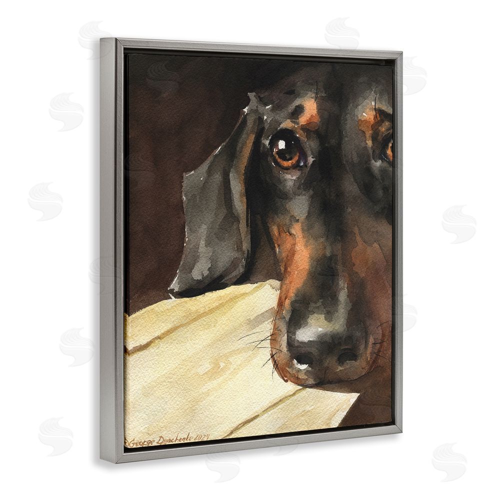 George Dyachenko Sight of Dachshund Gray Floating Frame Canvas Wall Art Print
