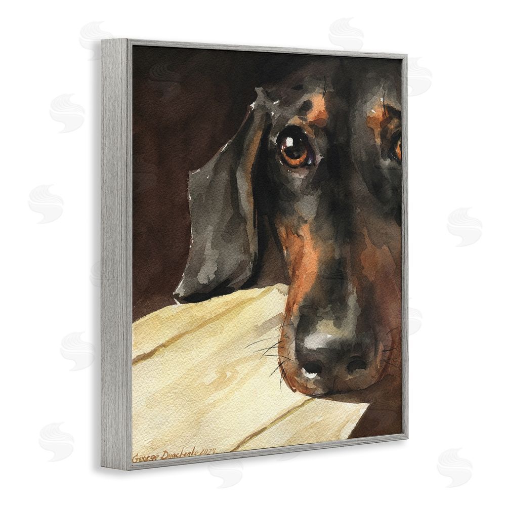 George Dyachenko Sight of Dachshund Gray Framed Giclee Wall Art Print