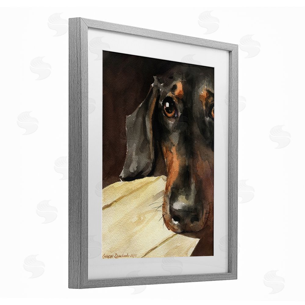 George Dyachenko Sight of Dachshund Gray Framed Print Under Glass with White Mat Wall Art