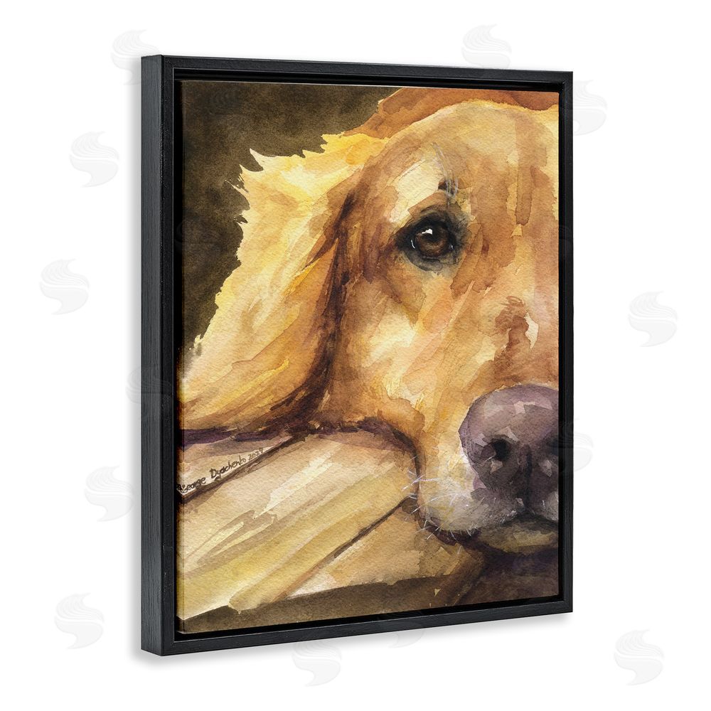 George Dyachenko Sight of Golden Retriever Black Floating Frame Canvas Wall Art Print