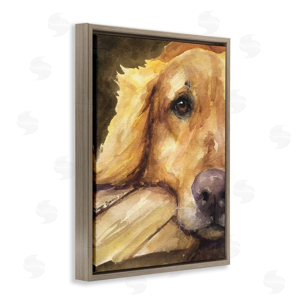 George Dyachenko Sight of Golden Retriever Brown Floating Frame Canvas Wall Art Print