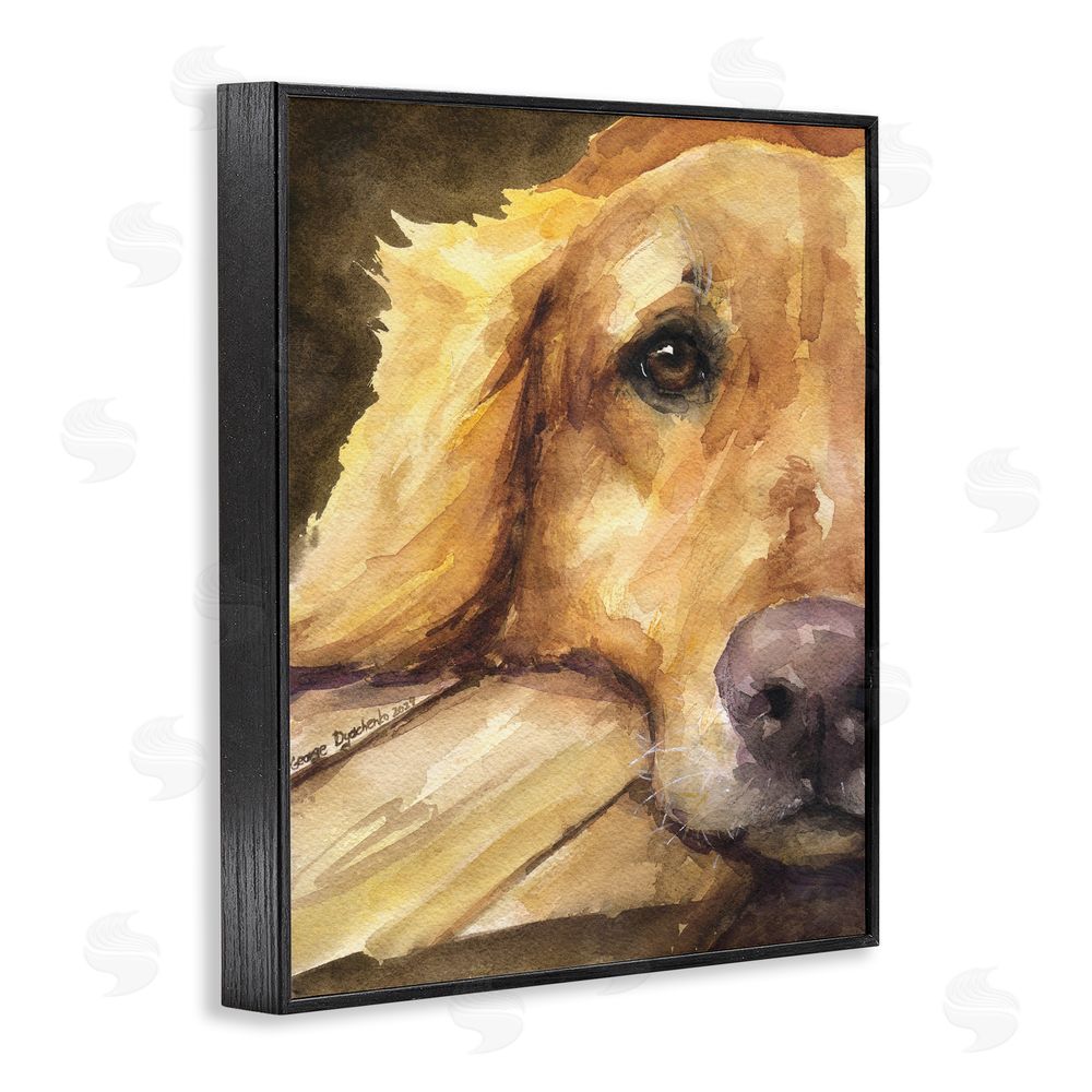 George Dyachenko Sight of Golden Retriever Black Framed Giclee Wall Art Print
