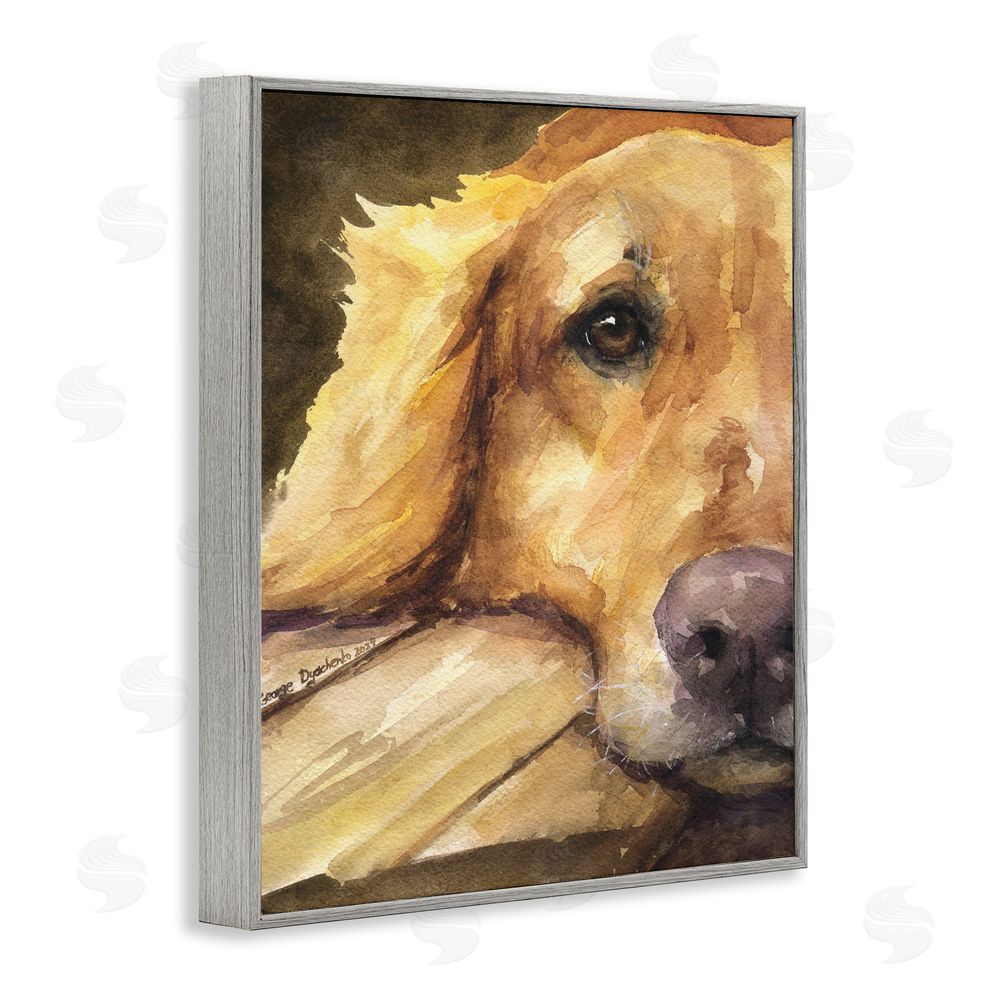 George Dyachenko Sight of Golden Retriever Gray Framed Giclee Wall Art Print