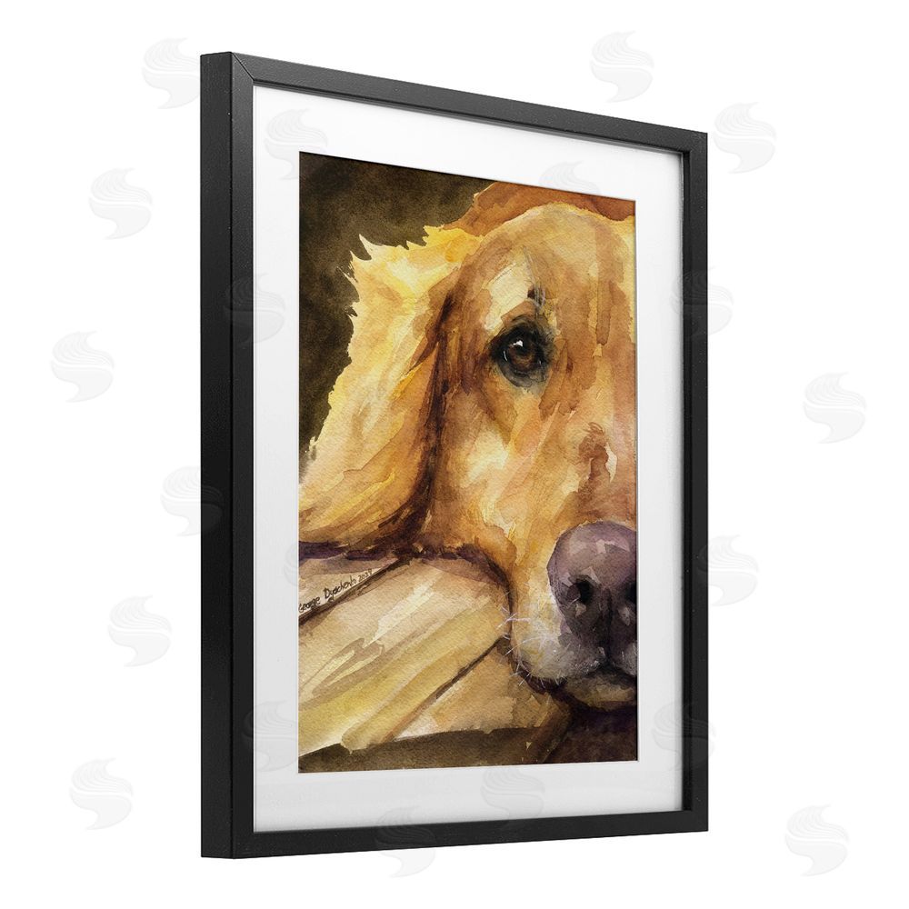 George Dyachenko Sight of Golden Retriever Black Framed Print Under Glass with White Mat Wall Art