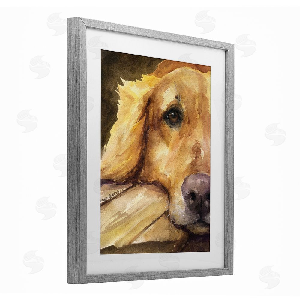 George Dyachenko Sight of Golden Retriever Gray Framed Print Under Glass with White Mat Wall Art