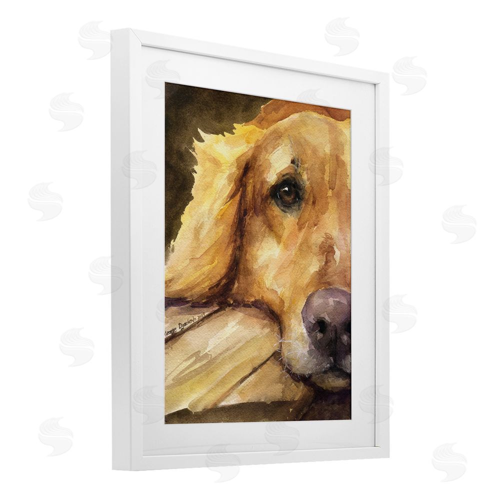 George Dyachenko Sight of Golden Retriever White Framed Print Under Glass with Mat Wall Art
