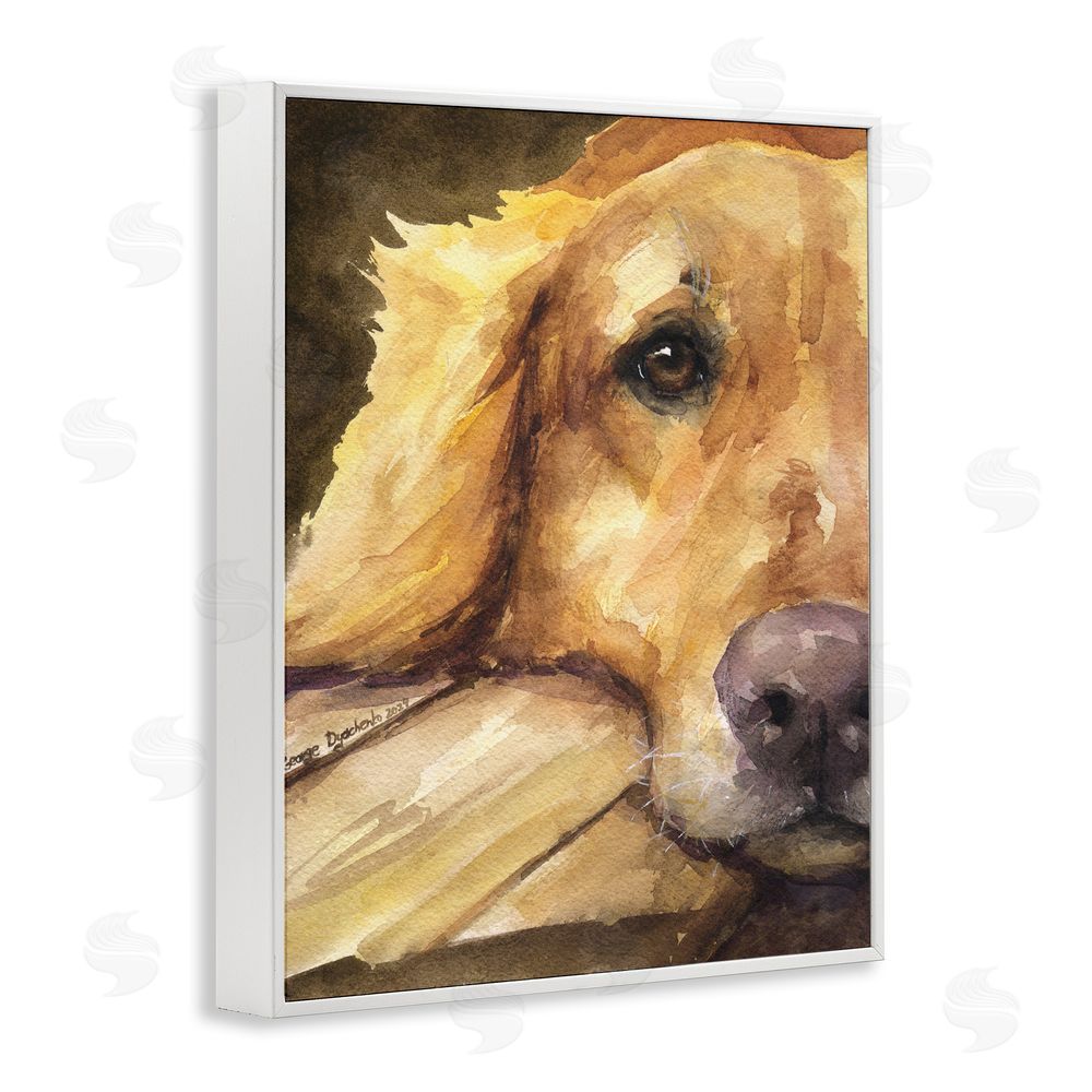 George Dyachenko Sight of Golden Retriever White Framed Giclee Wall Art Print