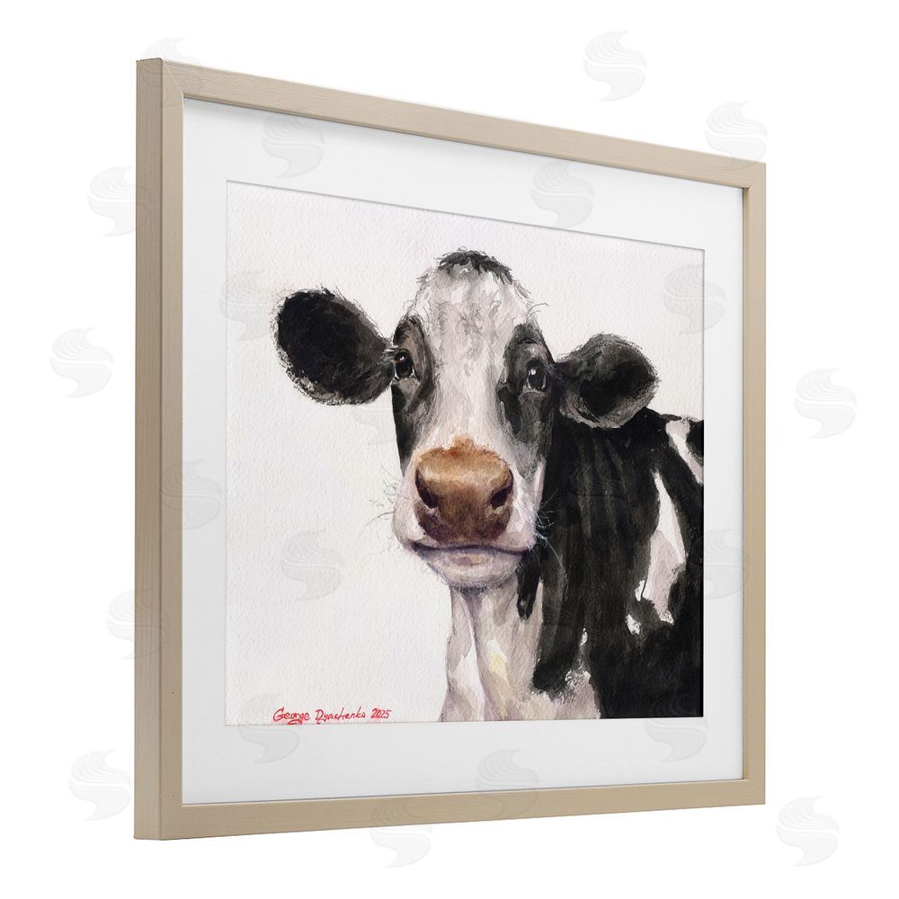 George Dyachenko Cute Cow with White Spots Birch Framed Print Under Glass with White Mat Wall Art