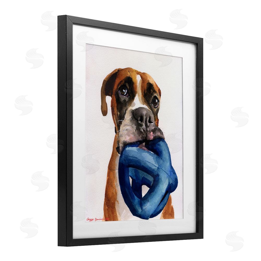 George Dyachenko Boxer and His Toy White Black Framed Print Under Glass with White Mat Wall Art