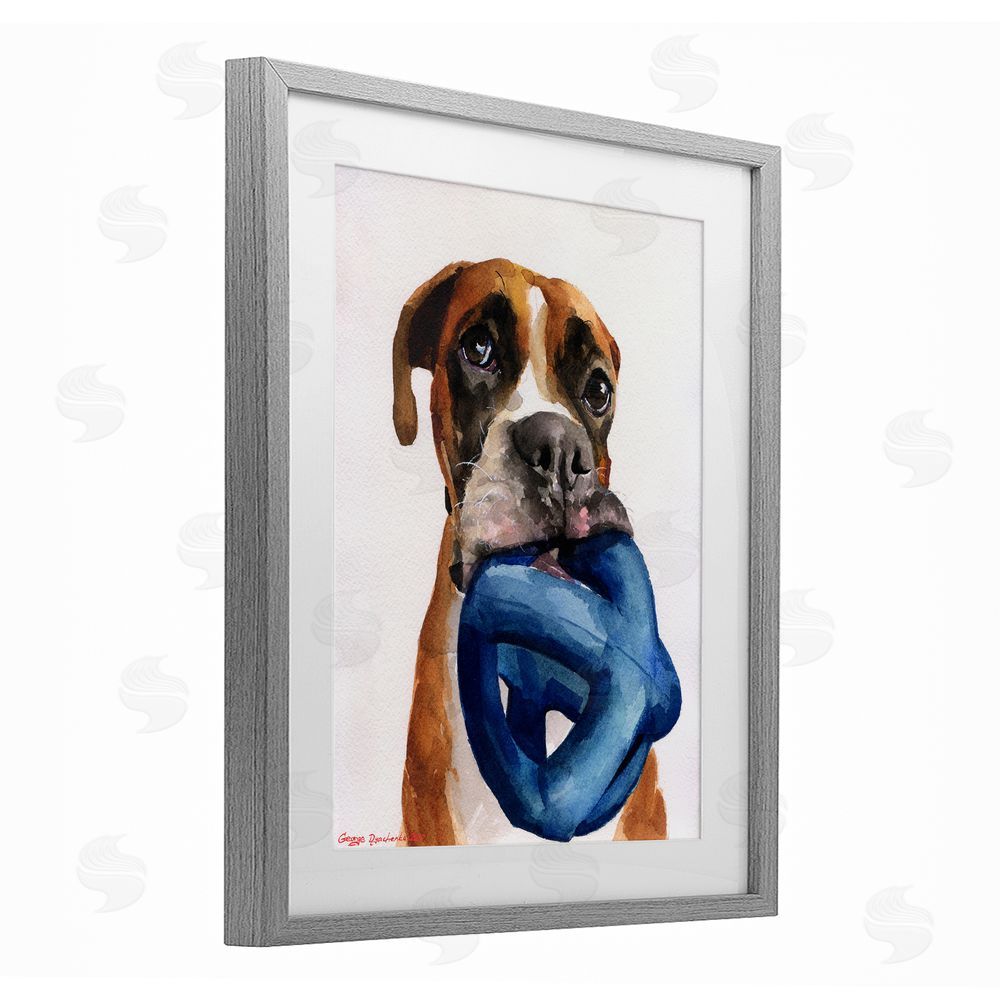 George Dyachenko Boxer and His Toy White Gray Framed Print Under Glass with White Mat Wall Art
