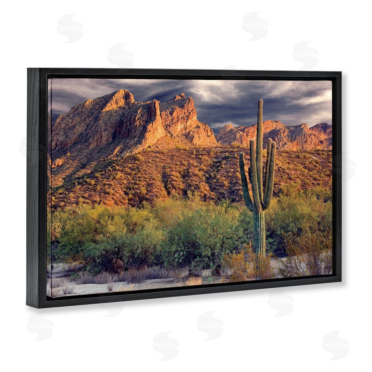 Mike Jones Tall And Strong Cactus View Canvas Wall Art Print