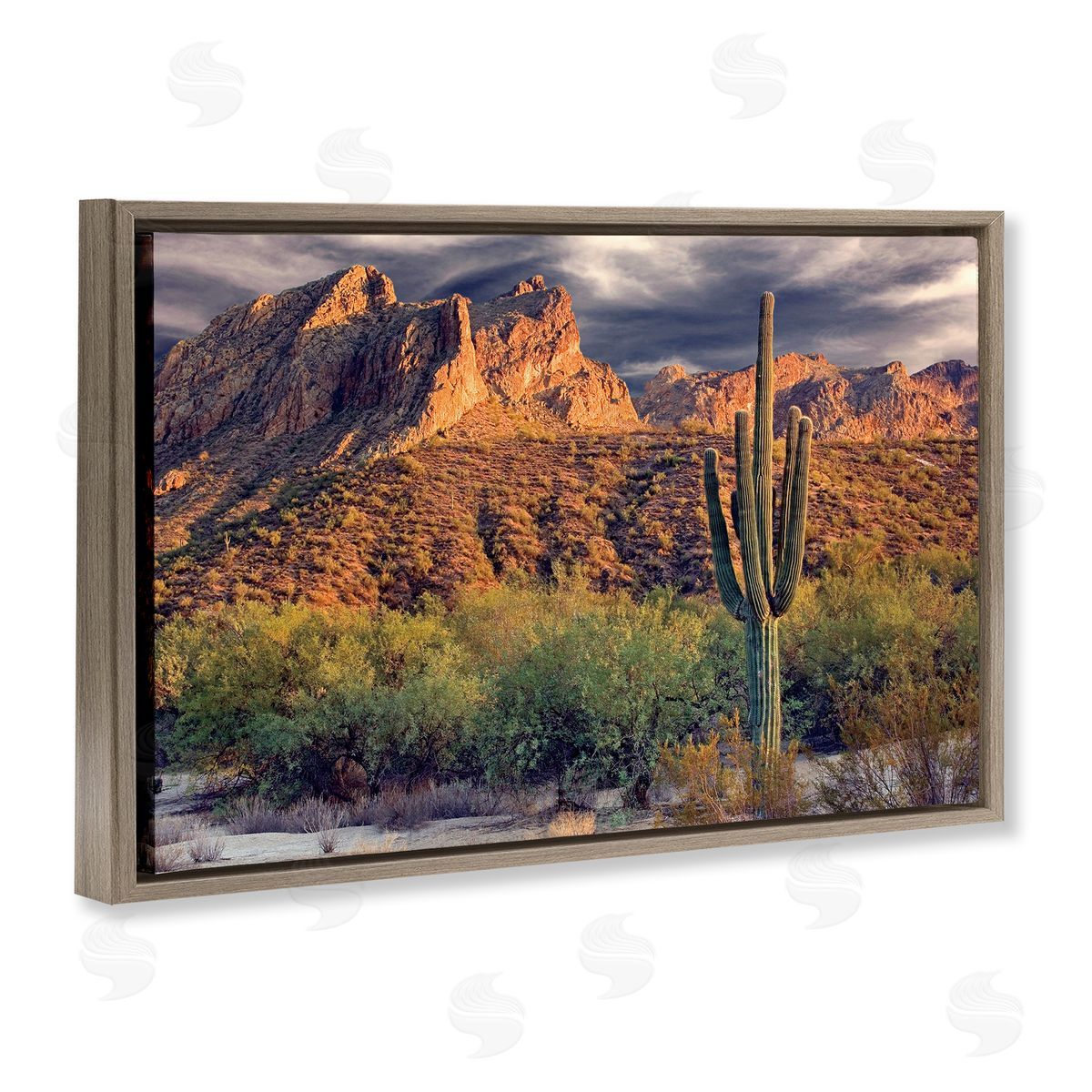 Mike Jones Tall And Strong Cactus View Canvas Wall Art Print