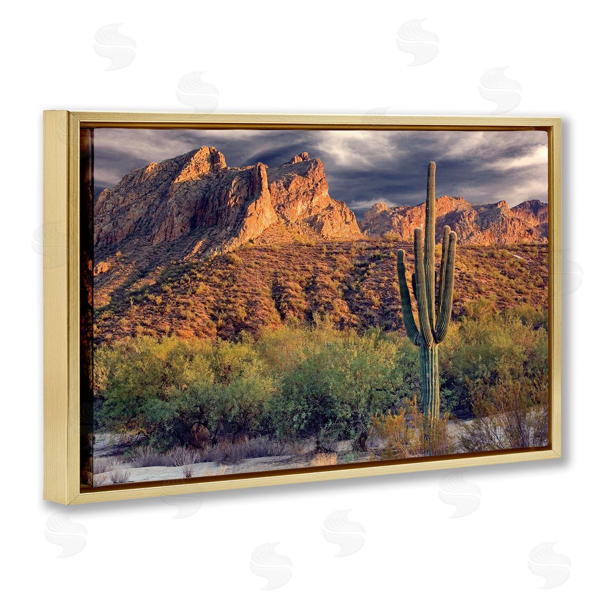 Mike Jones Tall And Strong Cactus View Canvas Wall Art Print