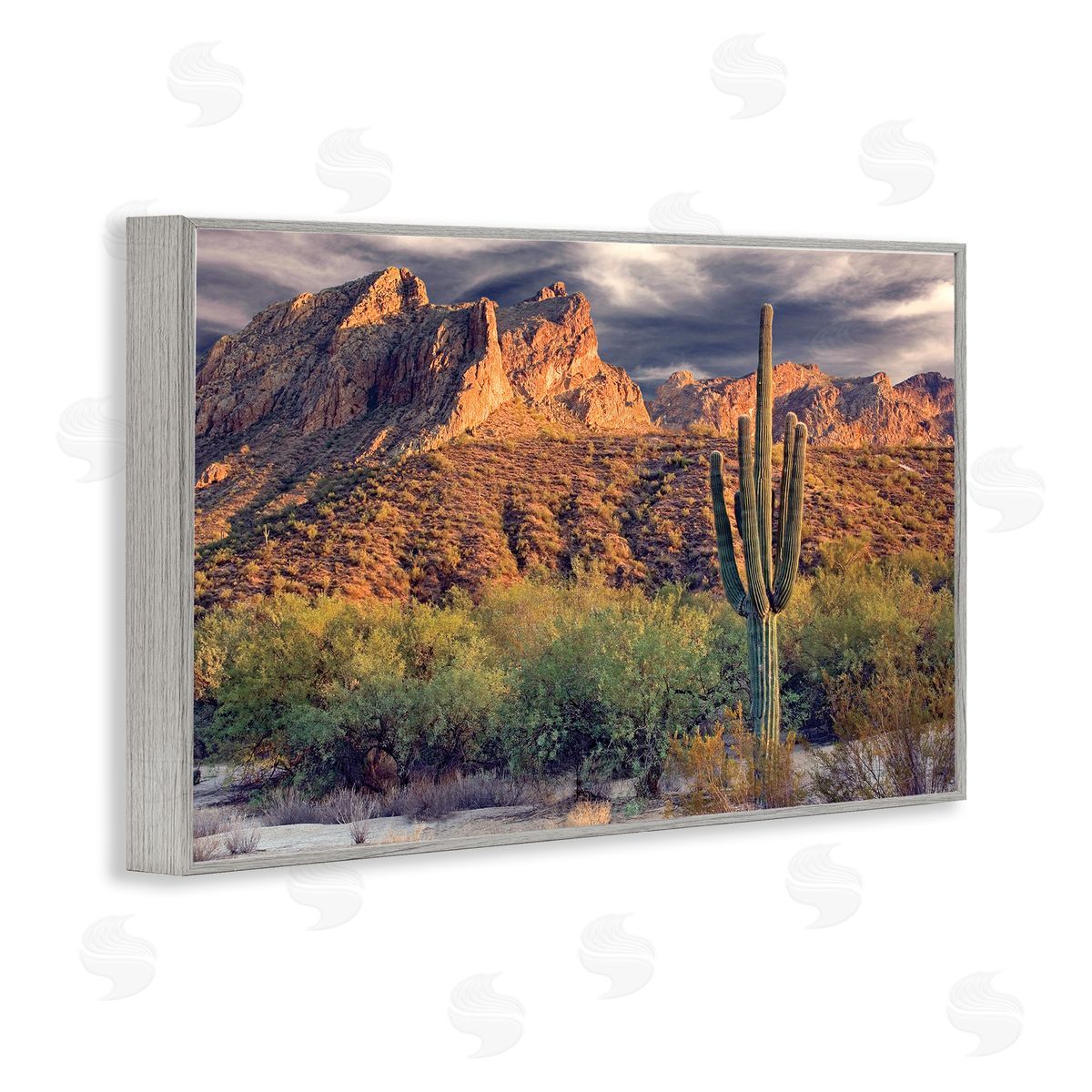 Mike Jones Tall And Strong Cactus View Canvas Wall Art Print