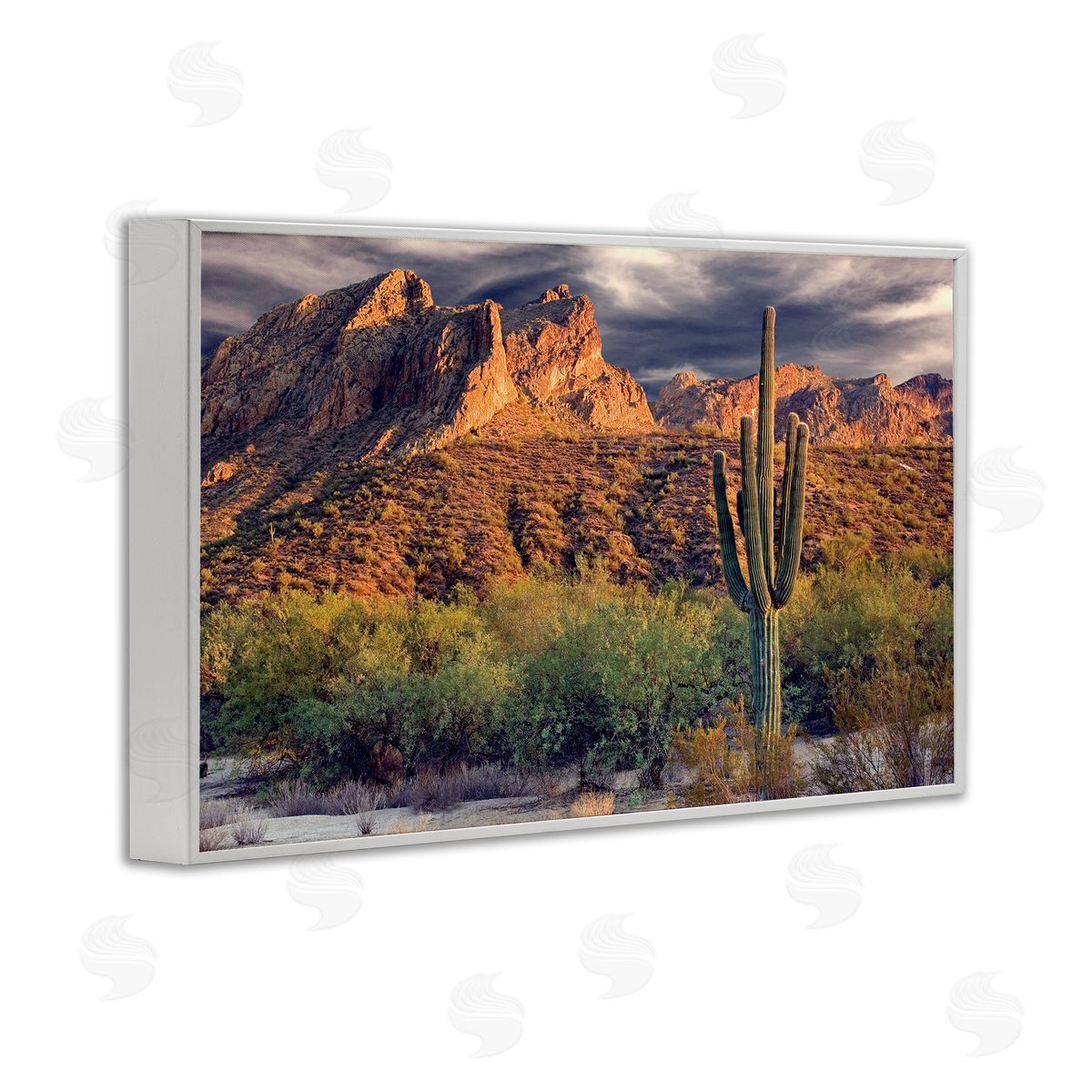 Mike Jones Tall And Strong Cactus View Canvas Wall Art Print