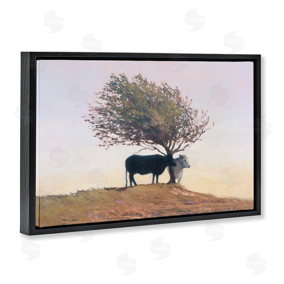 Kent Lovelace Black and White Cattle Canvas Wall Art Print