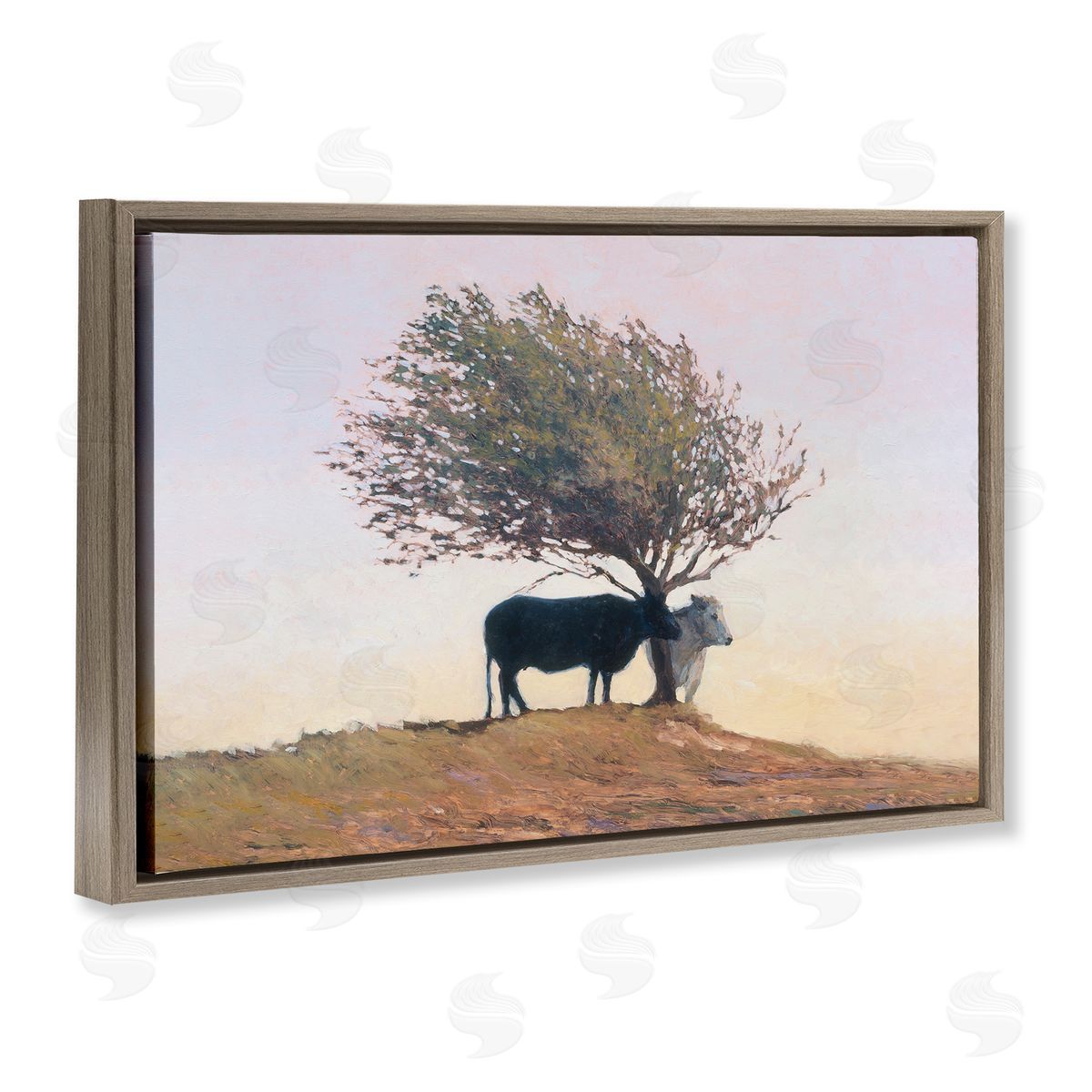 Kent Lovelace Black and White Cattle Canvas Wall Art Print
