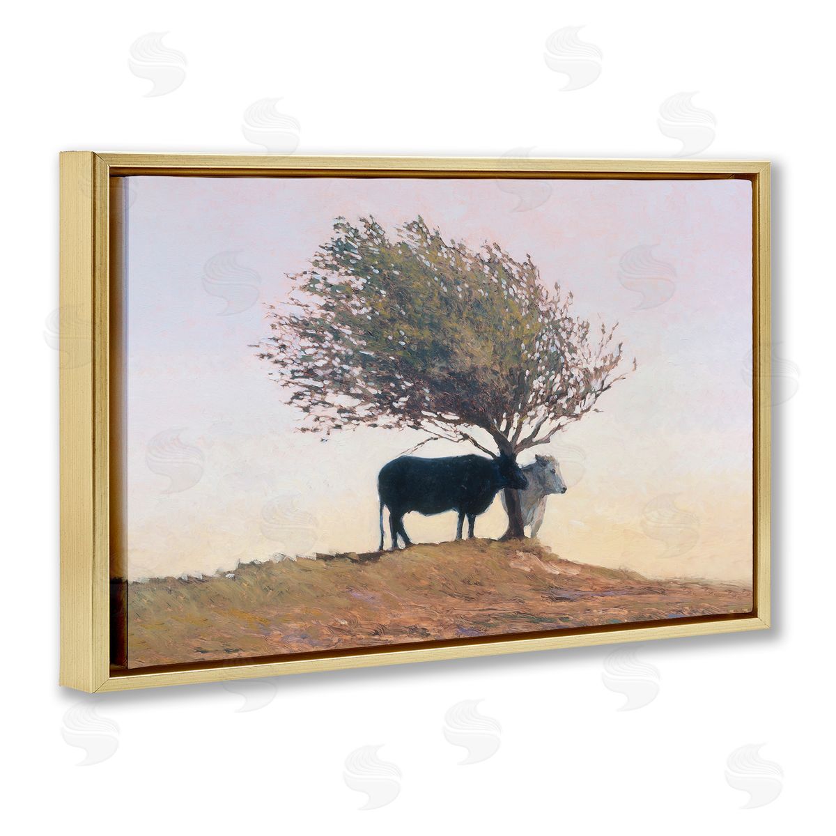 Kent Lovelace Black and White Cattle Canvas Wall Art Print