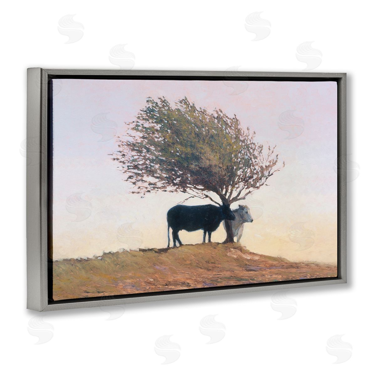 Kent Lovelace Black and White Cattle Canvas Wall Art Print