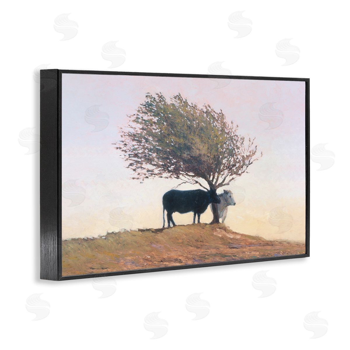 Kent Lovelace Black and White Cattle Canvas Wall Art Print