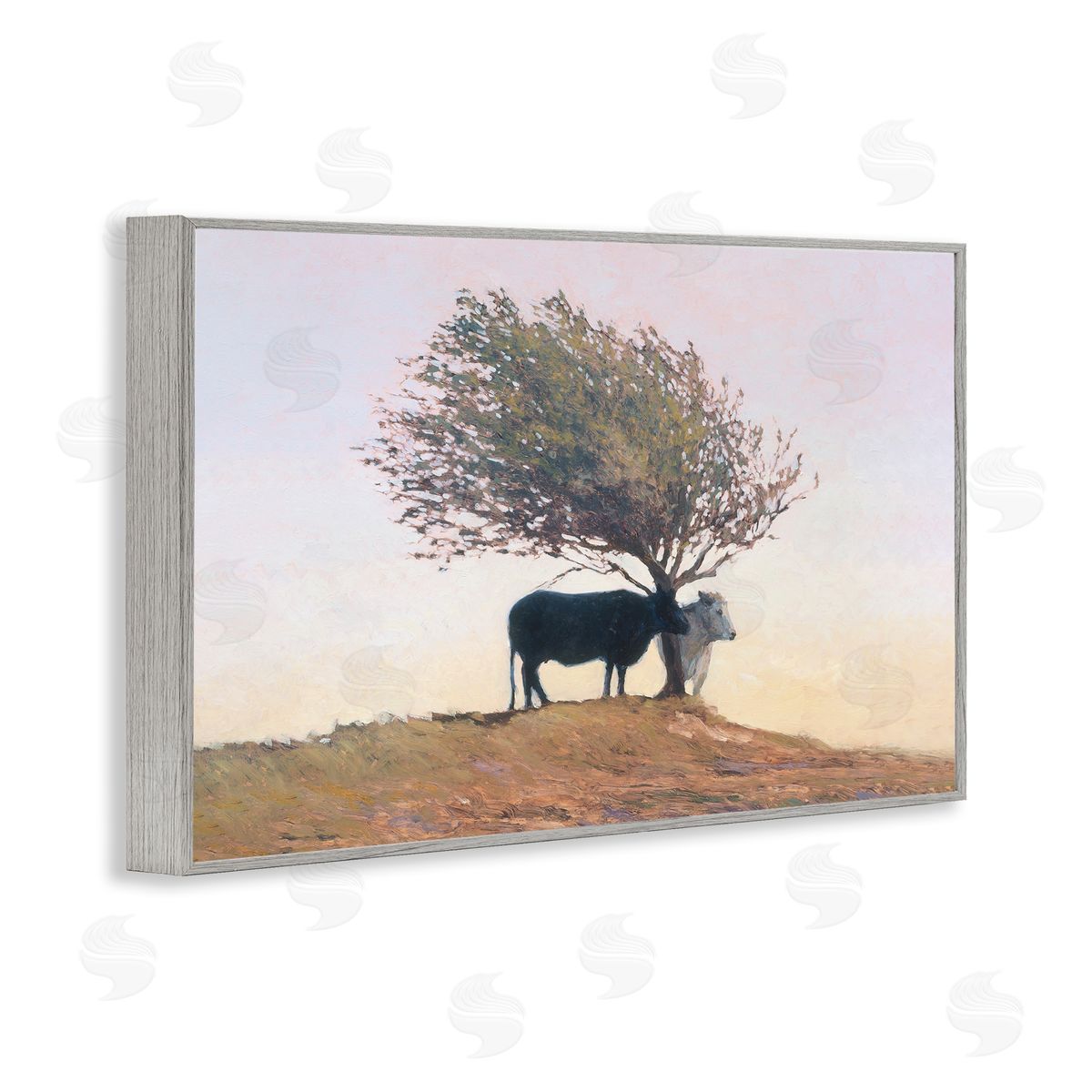 Kent Lovelace Black and White Cattle Canvas Wall Art Print