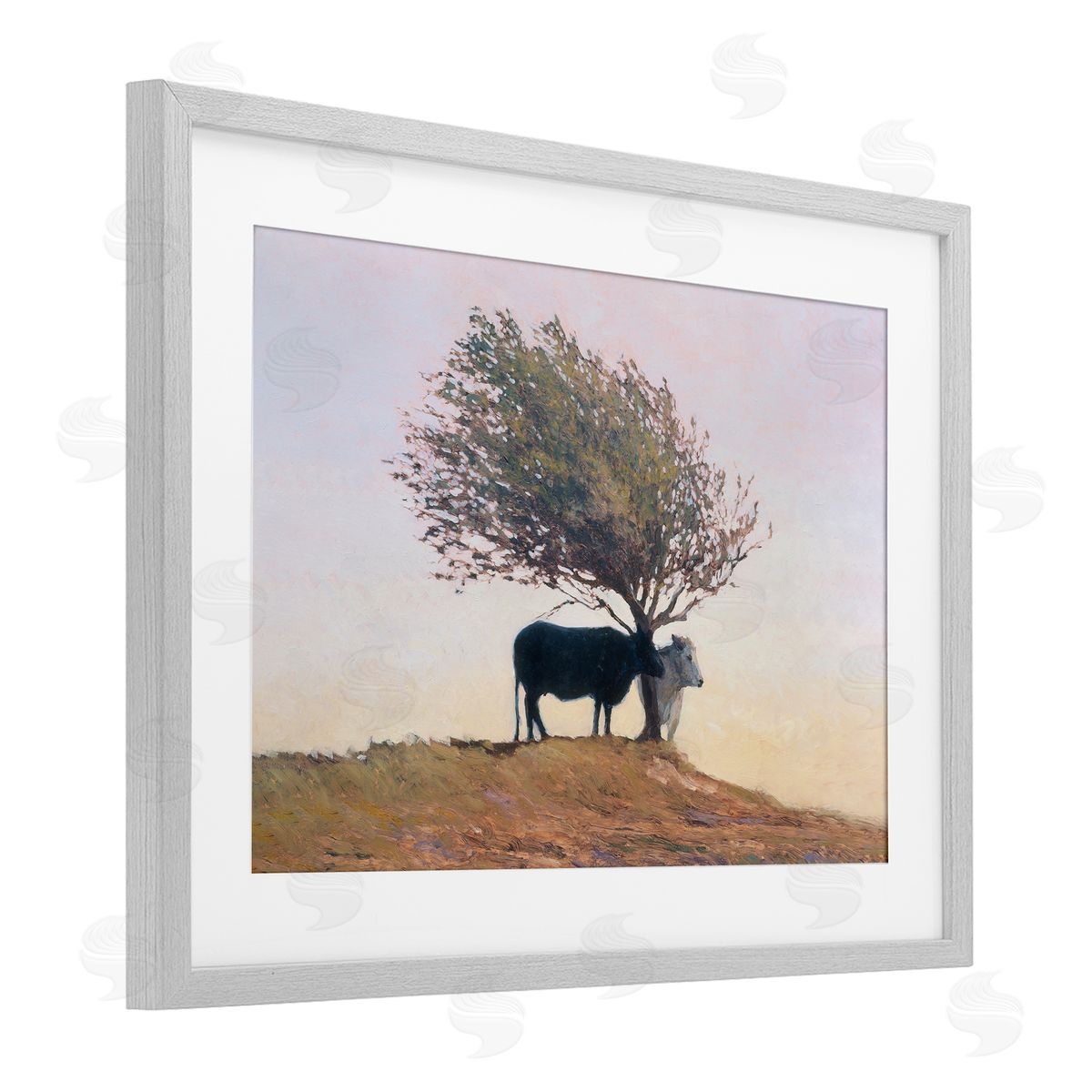 Kent Lovelace Black and White Cattle Canvas Wall Art Print