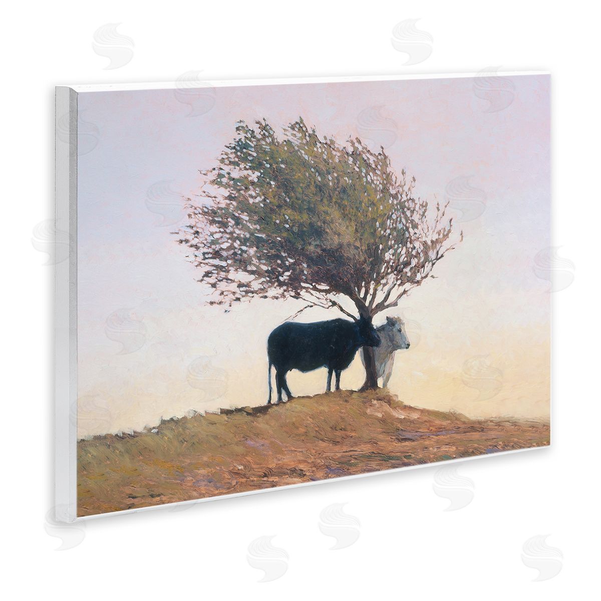 Kent Lovelace Black and White Cattle Canvas Wall Art Print