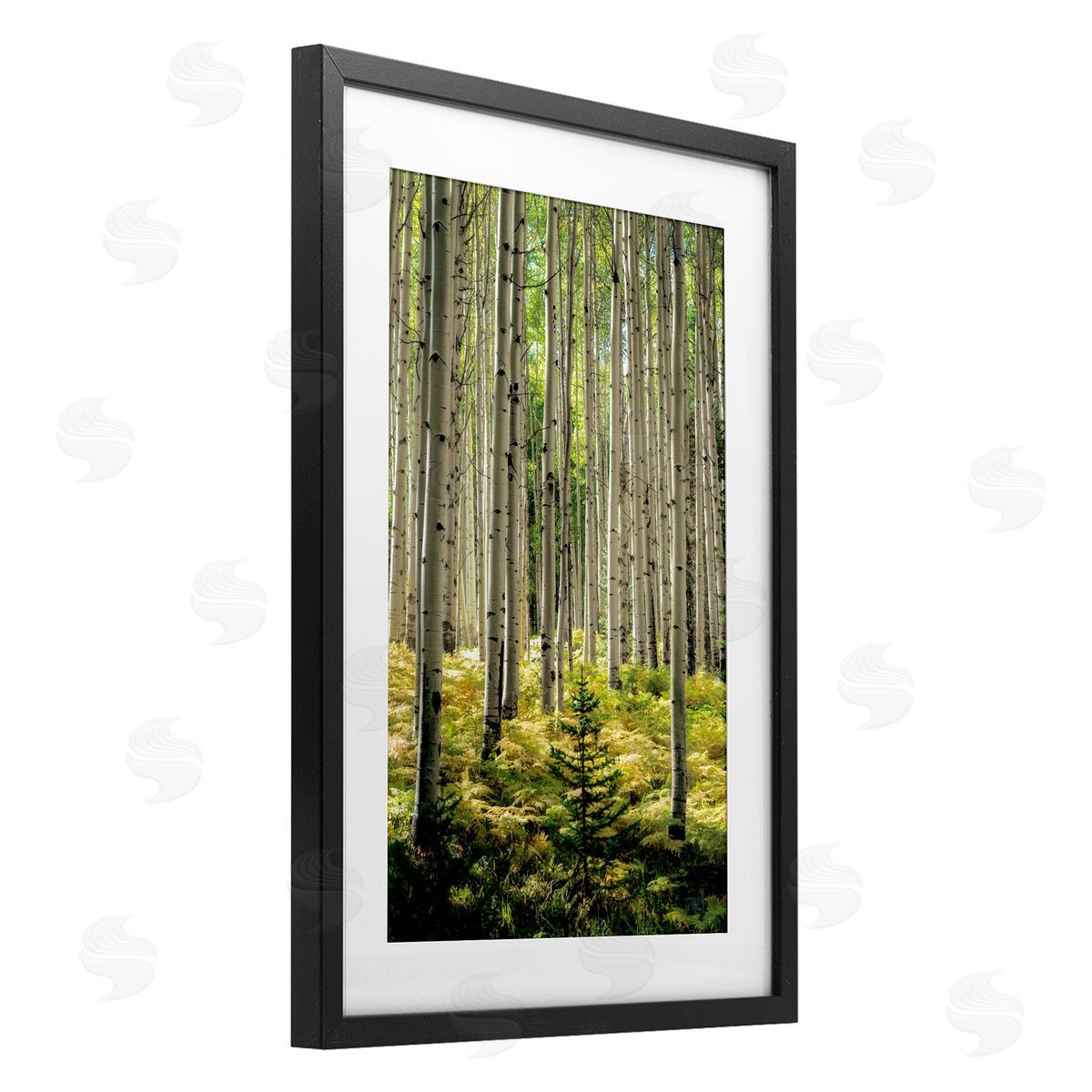 D. Burt Small And Tall Birch Forest Canvas Wall Art Print