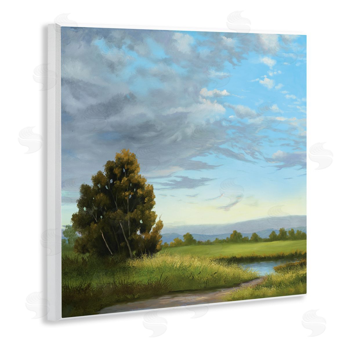 Julie Peterson Clouds Are Moving Landscape Canvas Wall Art Print