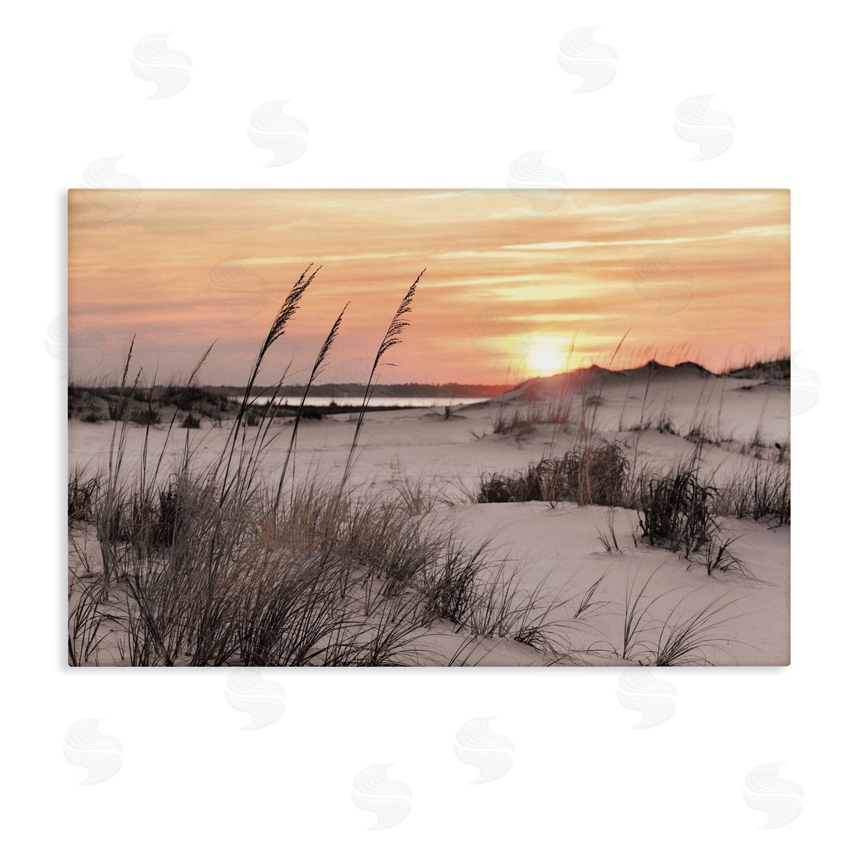Mike Jones Peachy Seashore Sunset Canvas Wall Art Print