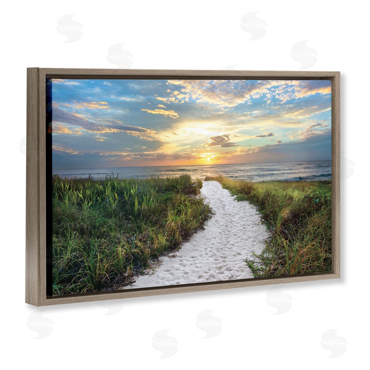Celebrate Life Gallery Morning Trail To Beach Canvas Wall Art Print