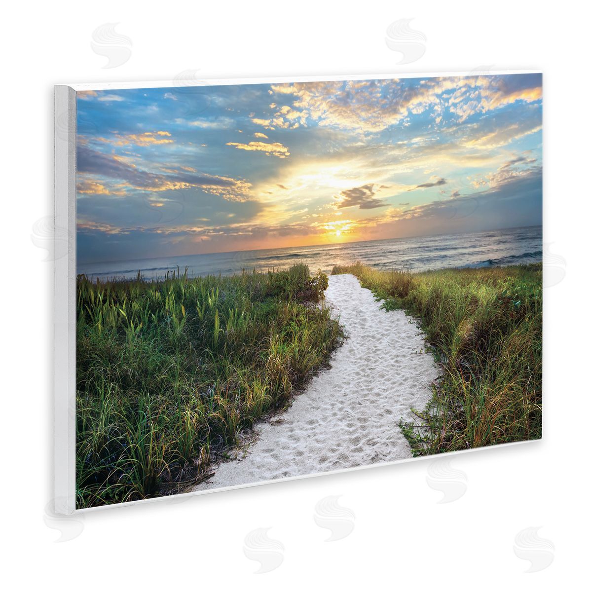 Celebrate Life Gallery Morning Trail To Beach Canvas Wall Art Print