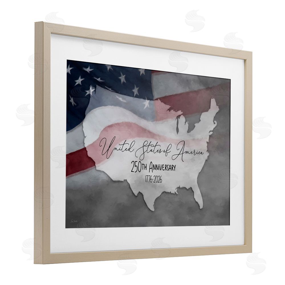 Lori Deiter USA 250th Anniversary Birch Framed Print Under Glass with White Mat Wall Art